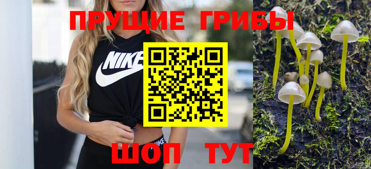 Галлюциногенные грибы Psilocybine cubensis Великие Луки