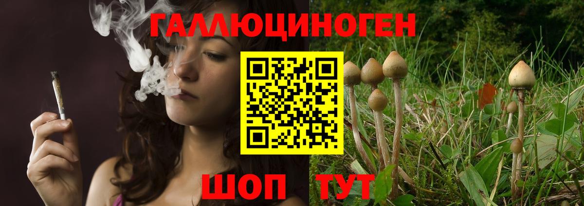 Псилоцибиновые грибы ЛСД  Галлюциногенные грибы ЛСД  Великие Луки  Вход с VPN 